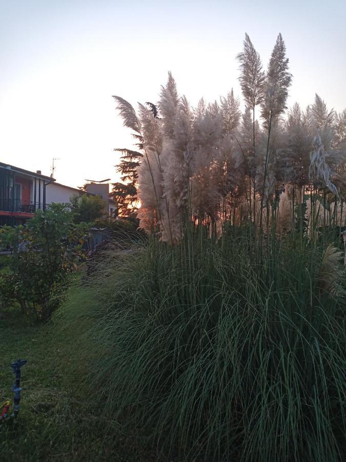 Ferienwohnung Gioiasulgarda Peschiera del Garda Exterior foto